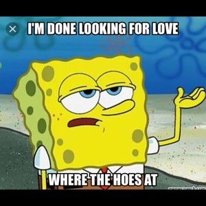 Meet your Posher, Donald